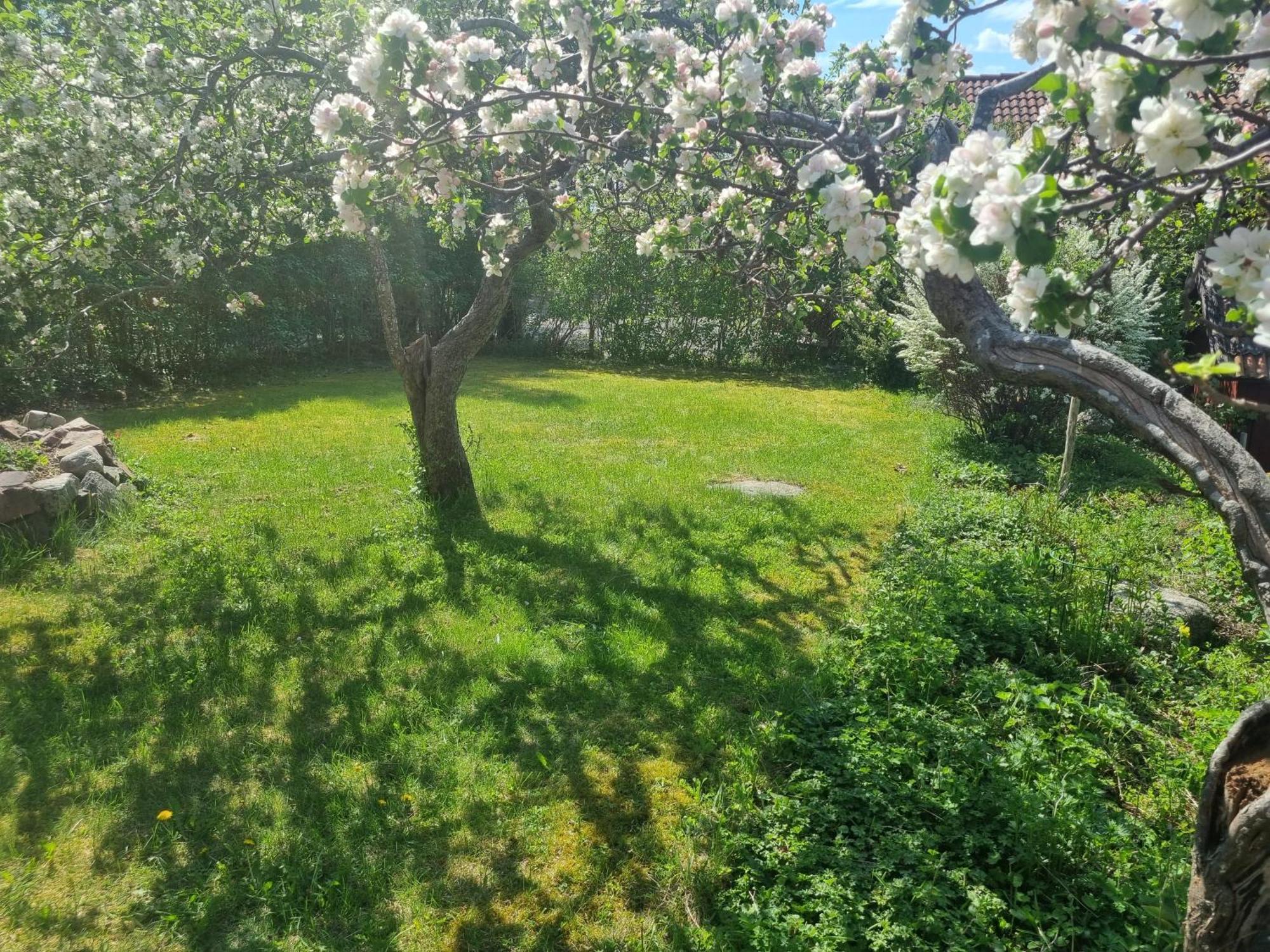 Saellinge House - Cozy Villa With Fireplace And Garden Close To Uppsala Bagian luar foto